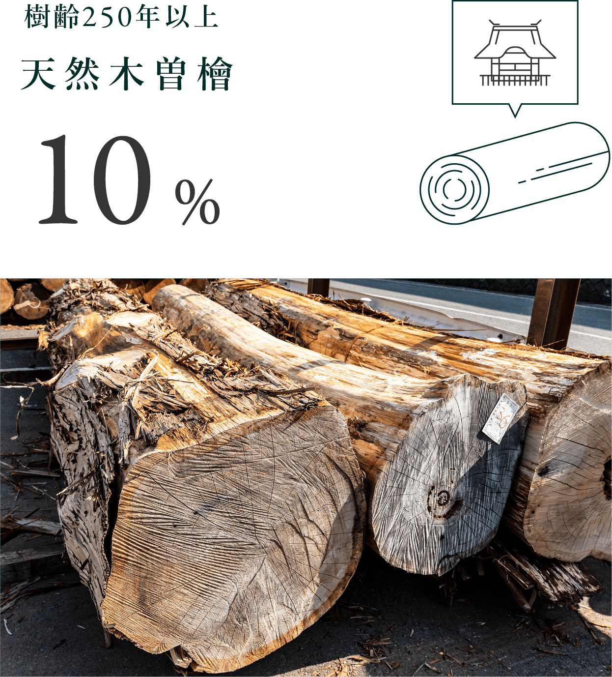 樹齢250年以上天然木曽檜10%